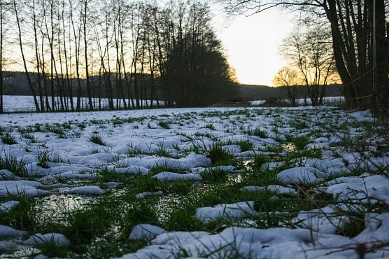 Winter (Foto: Gernot Thelemann)