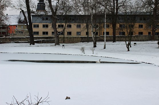 Gef&auml;hrlicher Leichtsinn auf Parkteich (Foto: Karl-Heinz Herrmann)