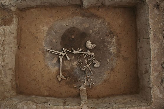 Archäologische Funden werden in Artern präsentiert (Foto: Th. Jäger) Archäologische Funden werden in Artern präsentiert (Foto: Th. Jäger)