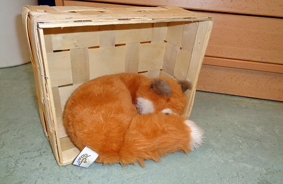 Der Fuchs war in der Kindervilla (Foto: Kindervilla Bad Frankenhausen) Der Fuchs war in der Kindervilla (Foto: Kindervilla Bad Frankenhausen)