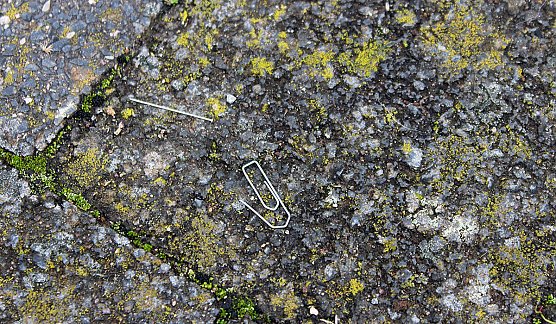 Gro&szlig;es Interesse am neuen Verein und auch Best&uuml;rzung (Foto: Karl-Heinz Herrmann)