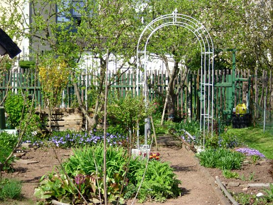 Neues Jahr - neues G&auml;rtnergl&uuml;ck (Foto: Thomas Leipold)