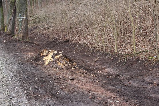 Hammatal wieder begehbar? (Foto: Karl-Heinz Herrmann) Hammatal wieder begehbar? (Foto: Karl-Heinz Herrmann)