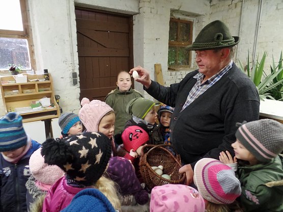 Besuch bei den Küken (Foto: Privat) Besuch bei den Küken (Foto: Privat)