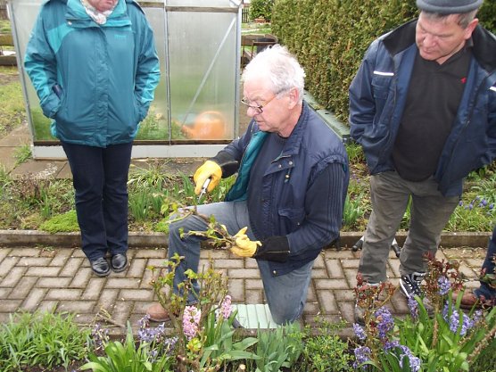 Interessante Rosenseminare mit Bernd Schlichting (Foto: Thomas Leipold)