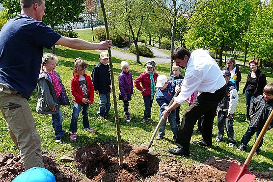Baum- und Wohngebietsfest in Sondershausen (Foto: Stadtjugendring)