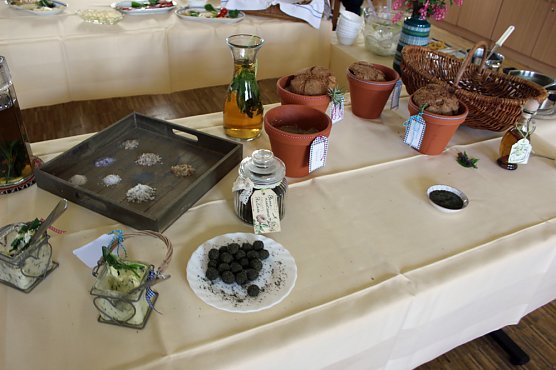 Brennnessel: Königin der Kräuter (Foto: Karl-Heinz Herrmann) Brennnessel: Königin der Kräuter (Foto: Karl-Heinz Herrmann)