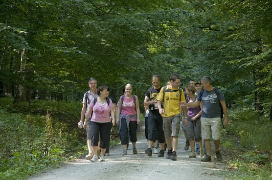 Alter Wald mit Zukunft e.V. (Foto: Thomas Stephan) Alter Wald mit Zukunft e.V. (Foto: Thomas Stephan)
