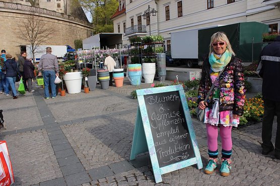 Pflanzenmarkt gut besucht (Foto: Karl-Heinz Herrmann)
