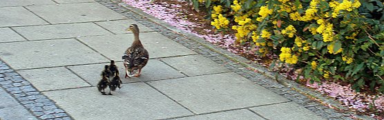 Abflug gemacht (Foto: Karl-Heinz Herrmann)