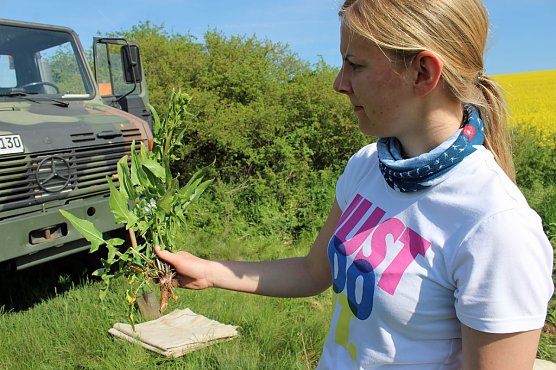 Studien zur Erhaltung der Natur (Foto: Karl-Heinz Herrmann)