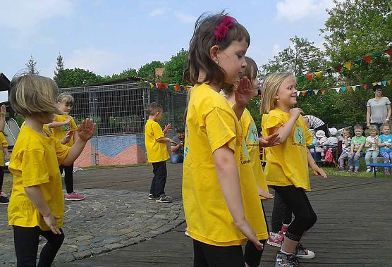 Siegel (Foto: Andreas Reich) Siegel (Foto: Andreas Reich)