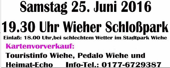 Die Operettennacht im Schlosspark Wiehe (Foto: Privat)