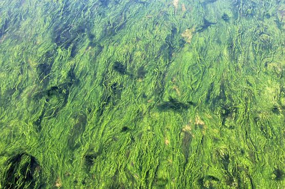 Probleme mit der Wipper? (Foto: Karl-Heinz Herrmann)