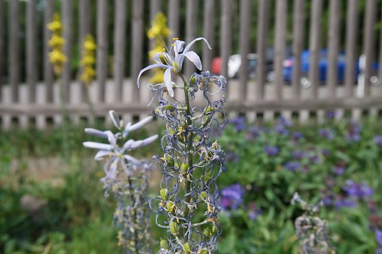 Wetter-Bild (Foto: nnz)