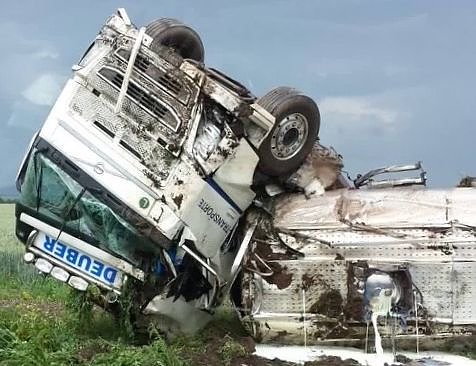 Umgekippt (Foto: privat)