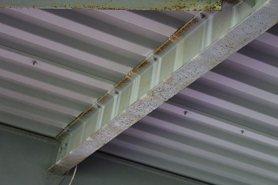 Auf dem G&ouml;ldner keine Zusage machen k&ouml;nnen (Foto: Karl-Heinz Herrmann)