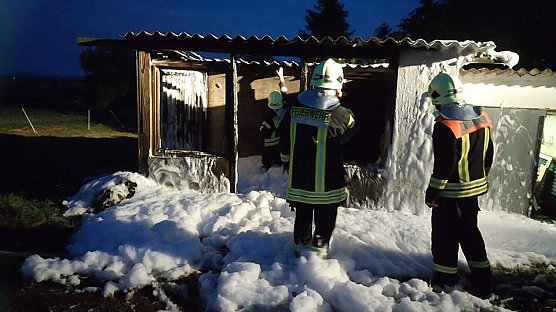 Laube geht in Flammen auf und mehr (Foto: FFW Wasserthaleben)