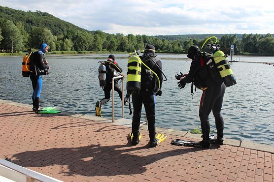 Grasmahd im Bebraer Teich (Foto: Karl-Heinz Herrmann)