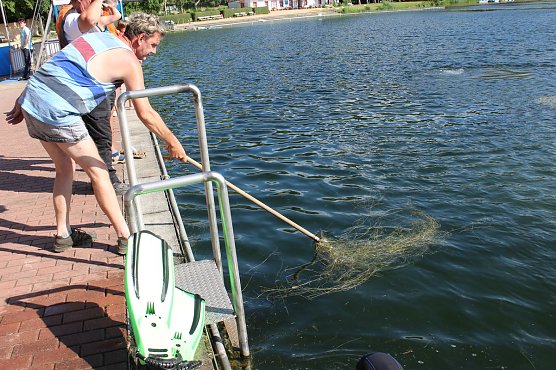 Grasmahd im Bebraer Teich (Foto: Karl-Heinz Herrmann)