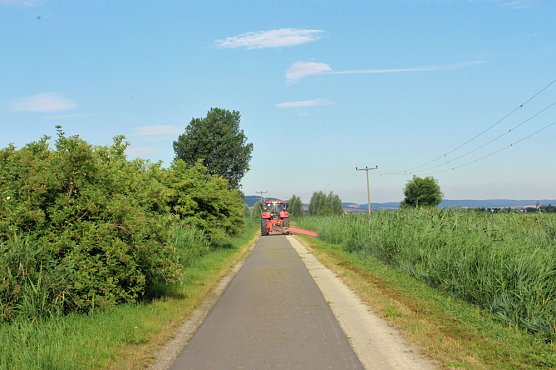 Da w&auml;chst etwas zu! (Foto: Karl-Heinz Herrmann)