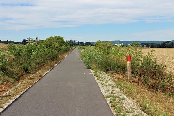 Da w&auml;chst etwas zu! (Foto: Karl-Heinz Herrmann)