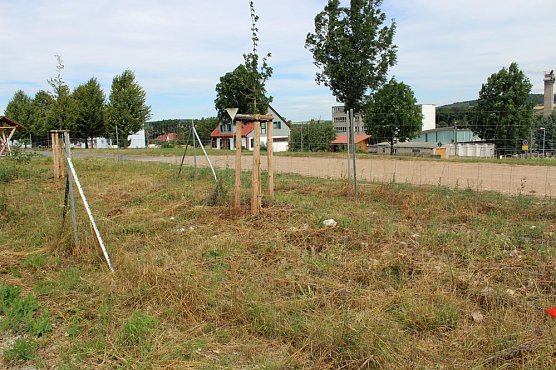 Da w&auml;chst etwas zu! (Foto: Karl-Heinz Herrmann)
