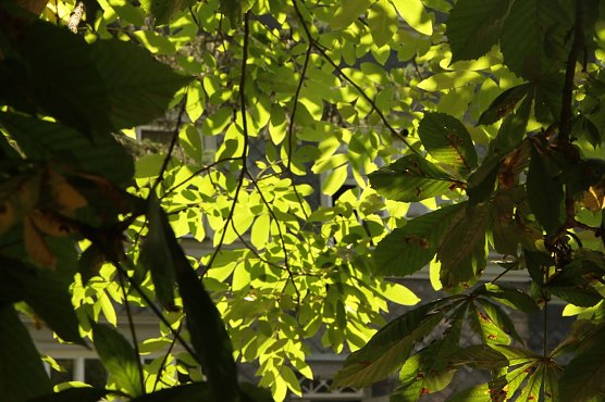 Wetterbild (Foto: Angelo Glashagel)