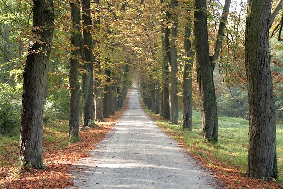 Einladung zum Waldgespr&auml;ch (Foto: Th&uuml;ringer Forstamt)