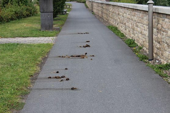 Licht und Schatten in Sondershausen (Foto: Karl-Heinz Herrmann)