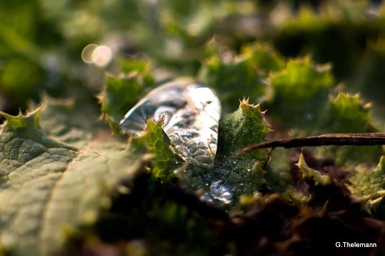 Wetter-Bild (Foto: Gernot Thelemann)