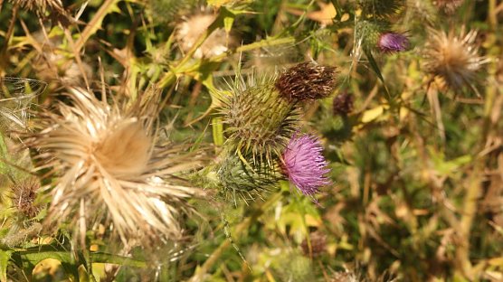 Wetterbild (Foto: Angelo Glashagel) Wetterbild (Foto: Angelo Glashagel)