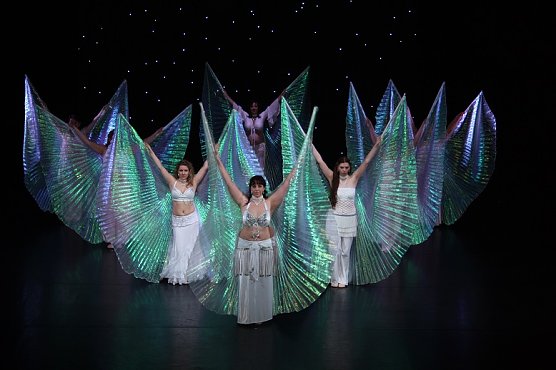 Orientalische Jubil&auml;umsgala (Foto: Privat)