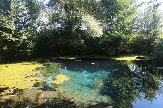 Wetterbild (Foto: Angelo Glashagel) Wetterbild (Foto: Angelo Glashagel)
