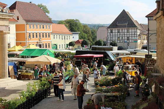 Pflanzenmarkt mit Musik (Foto: Karl-Heinz Herrmann)