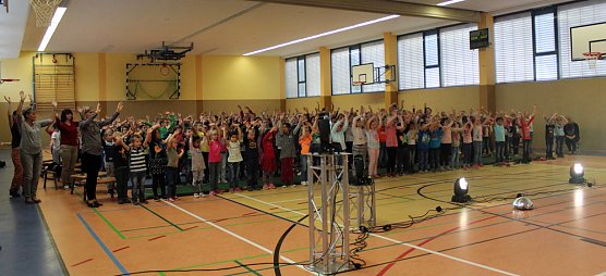 M&auml;use, Kr&ouml;ten und viel Geld (Foto: Karl-Heinz Herrmann)