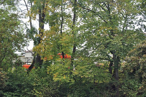 Mit Abriss wird begonnen (Foto: Karl-Heinz Herrmann)