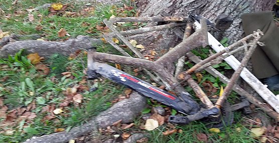 M&uuml;llabladeplatz Schlosspark? (Foto: Karl-Heinz Herrmann)