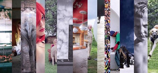 Ausfall und Ausstellungser&ouml;ffnung (Foto: Gesellschaft f&uuml;r Fotografie Th&uuml;ringen)