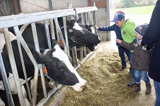 Kita Kids vom Kindernest auf "kuhler" Entdeckertour! (Foto: Privat)