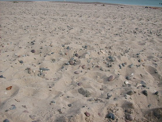 Steine am Strand (Foto: Karl-Heinz Herrmann) Steine am Strand (Foto: Karl-Heinz Herrmann)
