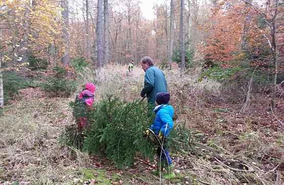 Ein Tannenbaum für unsere Kindervilla (Foto: Kindervilla Bad Frankenhausen) Ein Tannenbaum für unsere Kindervilla (Foto: Kindervilla Bad Frankenhausen)