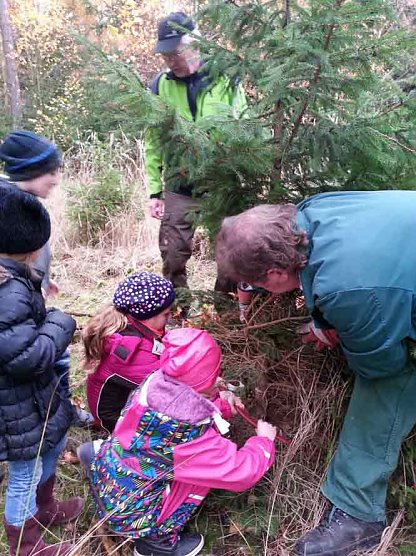 Ein Tannenbaum für unsere Kindervilla (Foto: Kindervilla Bad Frankenhausen) Ein Tannenbaum für unsere Kindervilla (Foto: Kindervilla Bad Frankenhausen)