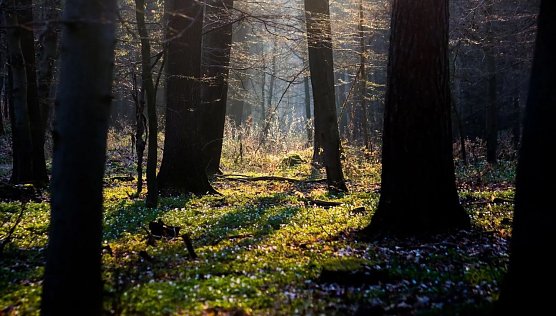 Das Wetter 2016 (Foto: Gernot Thelemann)