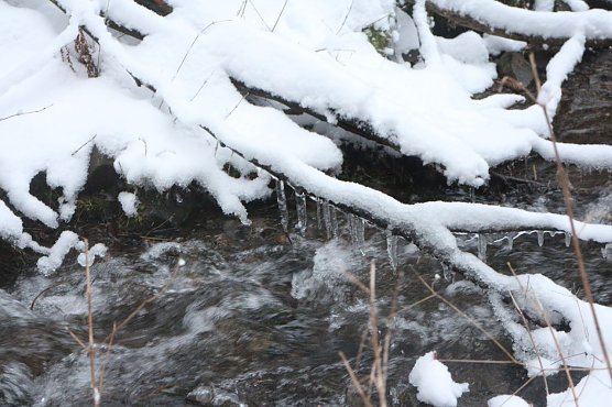 Wetterbild (Foto: Angelo Glashagel) Wetterbild (Foto: Angelo Glashagel)