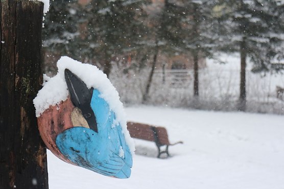 Wetterbild (Foto: Angelo Glashagel)