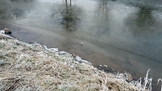 Friert die Wipper zu? (Foto: Karl-Heinz Herrmann)
