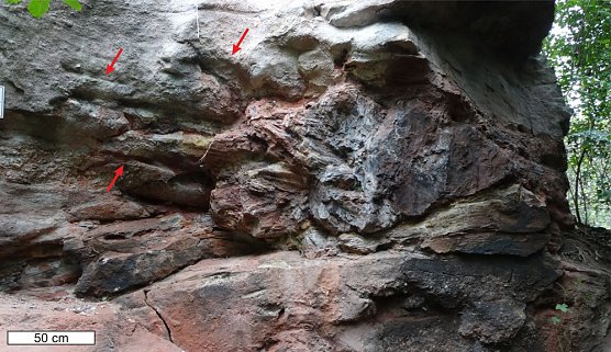 Von reißenden Fluten und Baumriesen (Foto: Steffen Trümper) Von reißenden Fluten und Baumriesen (Foto: Steffen Trümper)