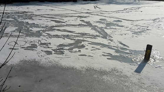 Ganz sch&ouml;n leichtsinnig! (Foto: Privat)