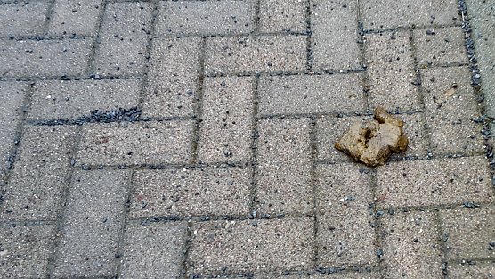 Neues und altes aus Sondershausen (Foto: Karl-Heinz Herrmann) Neues und altes aus Sondershausen (Foto: Karl-Heinz Herrmann)